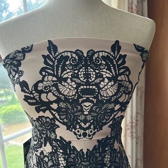 Express (NWT)- Black and White Strapless Sheath Dress - Picture 12 of 16